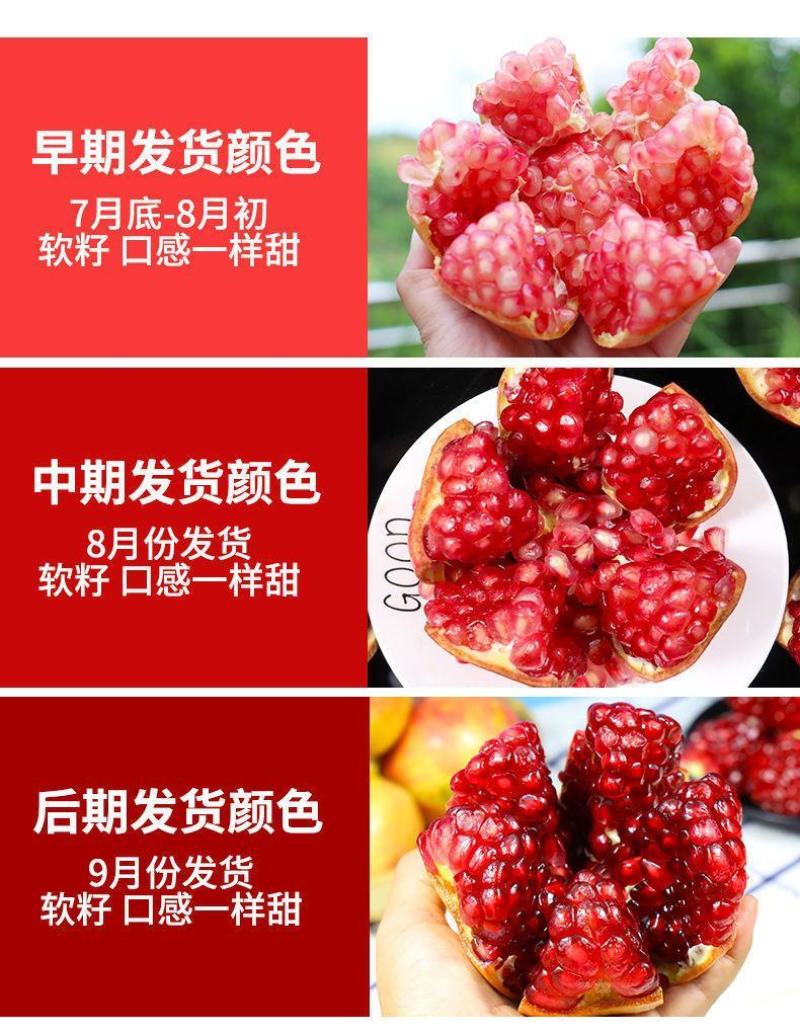 【正宗突尼斯】四川会理突尼斯软籽石榴当季新鲜蒙自石榴