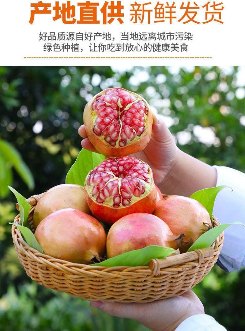 【正宗突尼斯】四川会理突尼斯软籽石榴当季新鲜蒙自石榴
