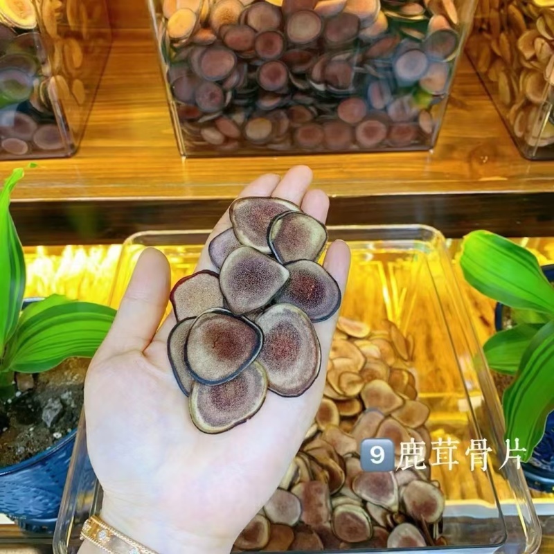 长白山鹿茸片梅花鹿茸片