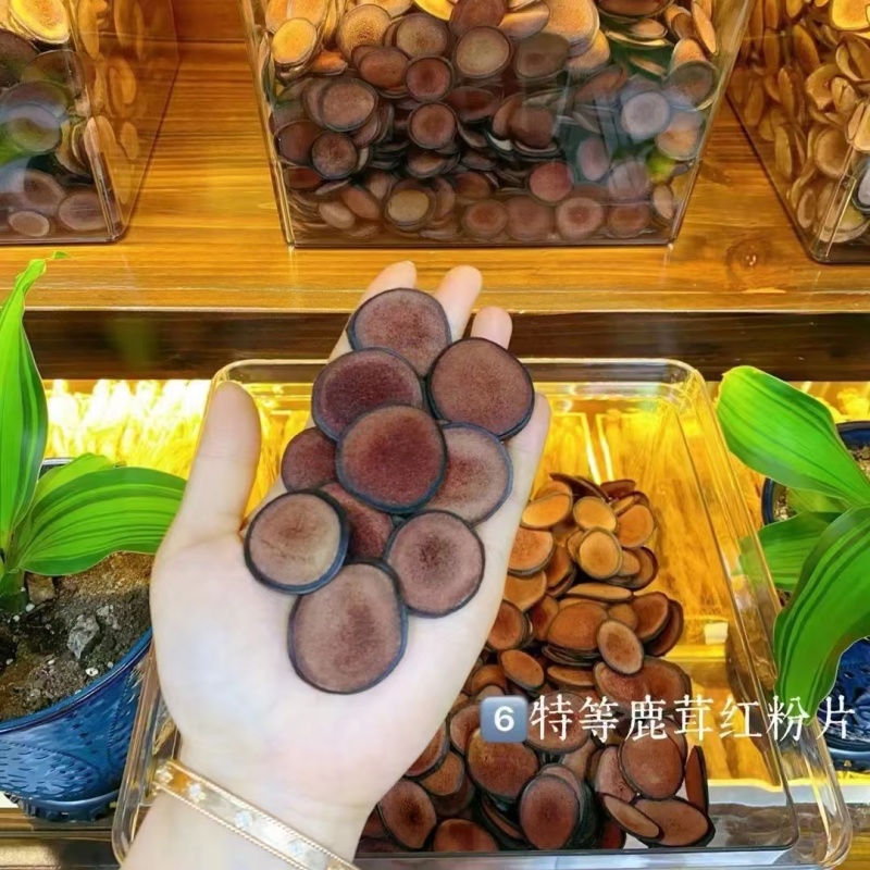 长白山鹿茸片梅花鹿茸片