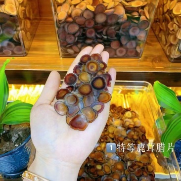长白山鹿茸片梅花鹿茸片