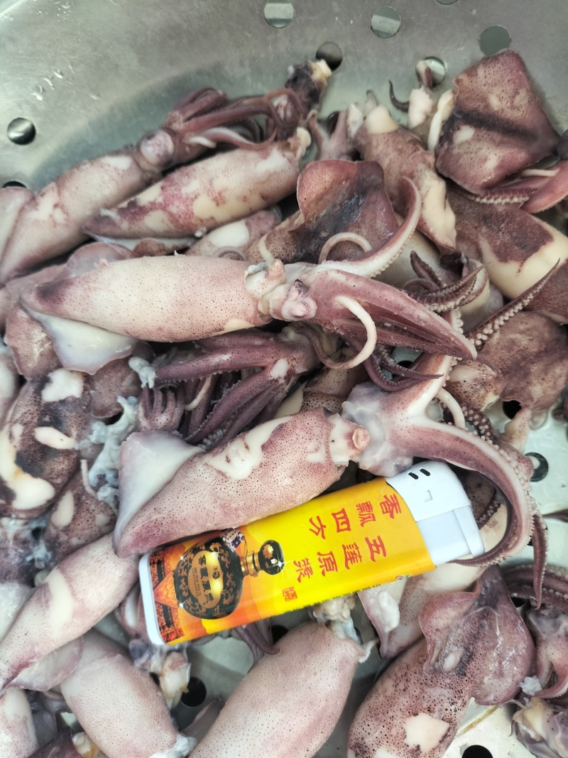 笔管鱼（海兔）