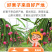 当季火龙果整箱新鲜现摘红心火龙果批发价味甜薄皮批发