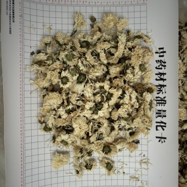 天然中药材菊花，匠心精选，品质卓越，药食同源保质保量