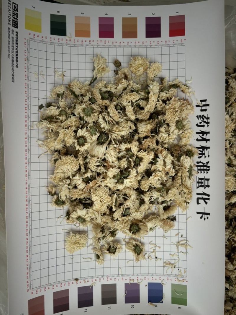 天然中药材菊花，匠心精选，品质卓越，药食同源保质保量