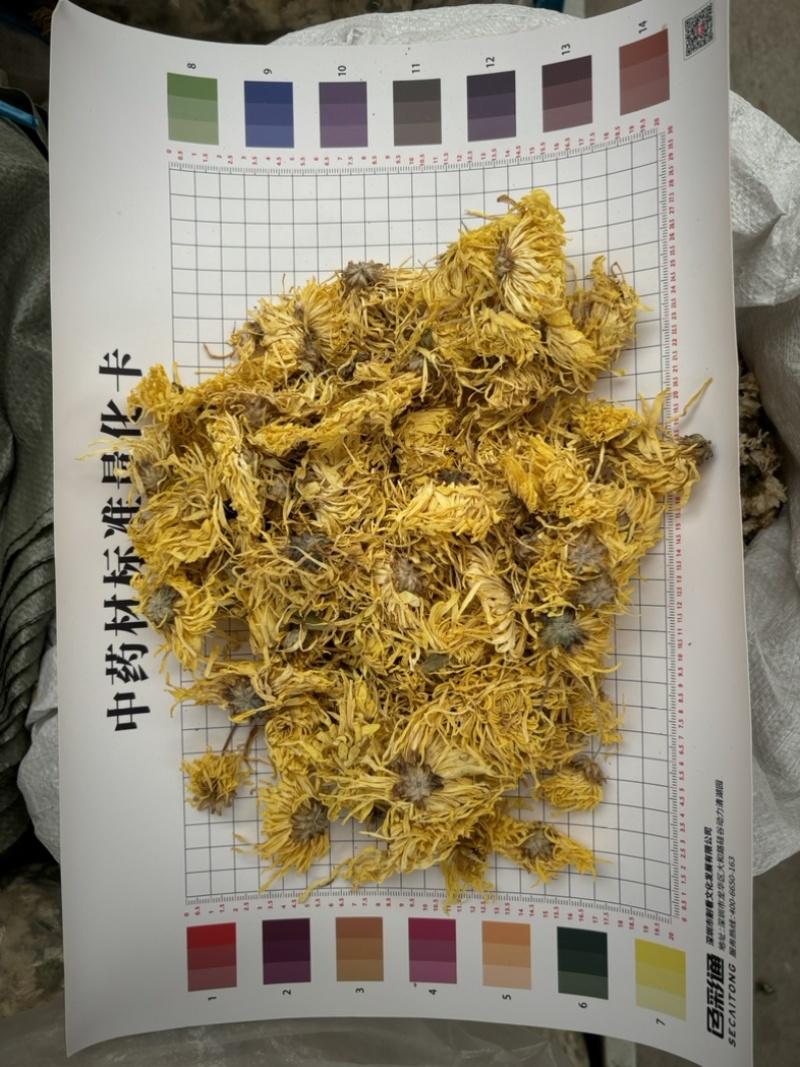 天然中药材菊花，匠心精选，品质卓越，药食同源保质保量