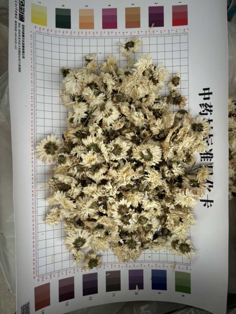 天然中药材菊花，匠心精选，品质卓越，药食同源保质保量