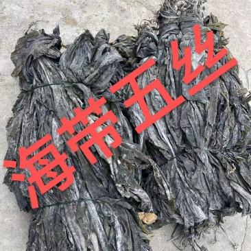 批发福建海边农家自种无沙厚海带干海带