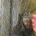 厂家直销细海带丝干货无沙无盐干海带丝球牛肉面丝整袋商用