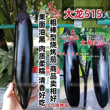 黑又亮茄子种子大龙515烧烤茄种子软糯清香油黑亮丽棒茄