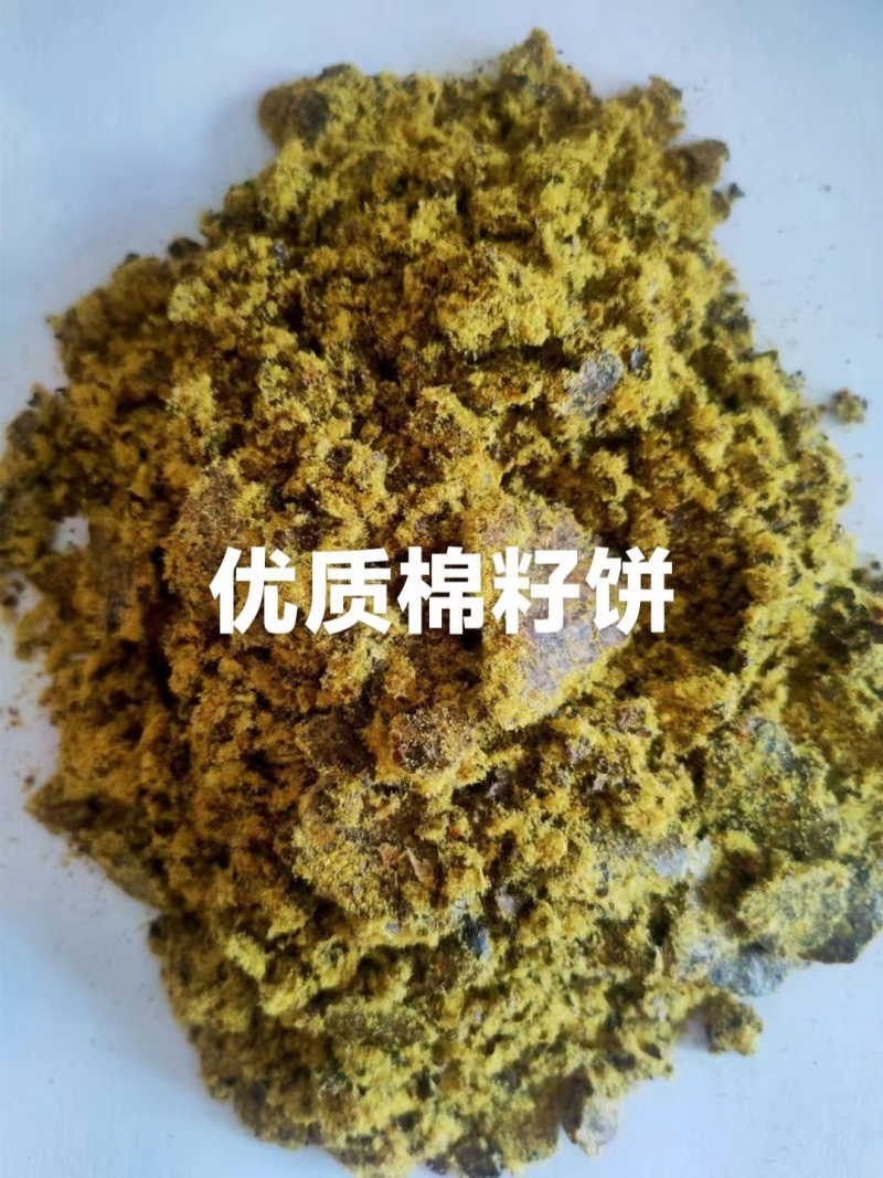 厂家供应棉籽饼全脂棉籽饼养殖饲料价格合理优惠