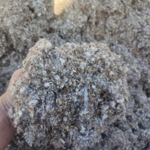 种植平菇好原料棉渣价格低收益高保量一手全国发货