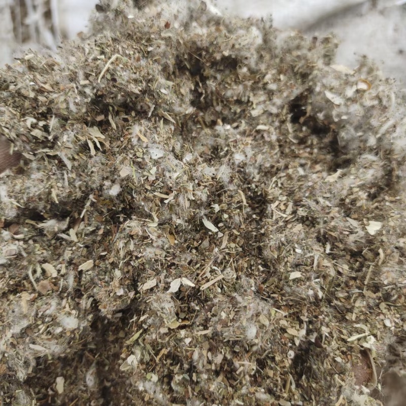 种植平菇好原料棉渣价格低收益高保量一手全国发货