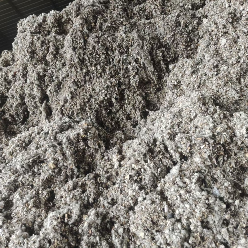 种植平菇好原料棉渣价格低收益高保量一手全国发货