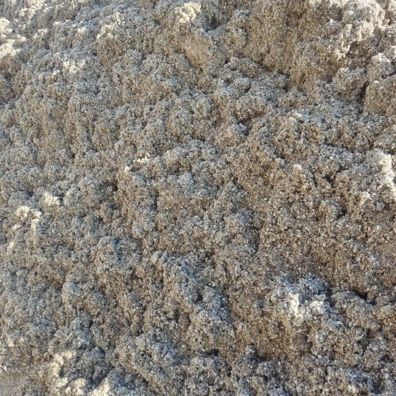 种植平菇好原料棉渣价格低收益高保量一手全国发货