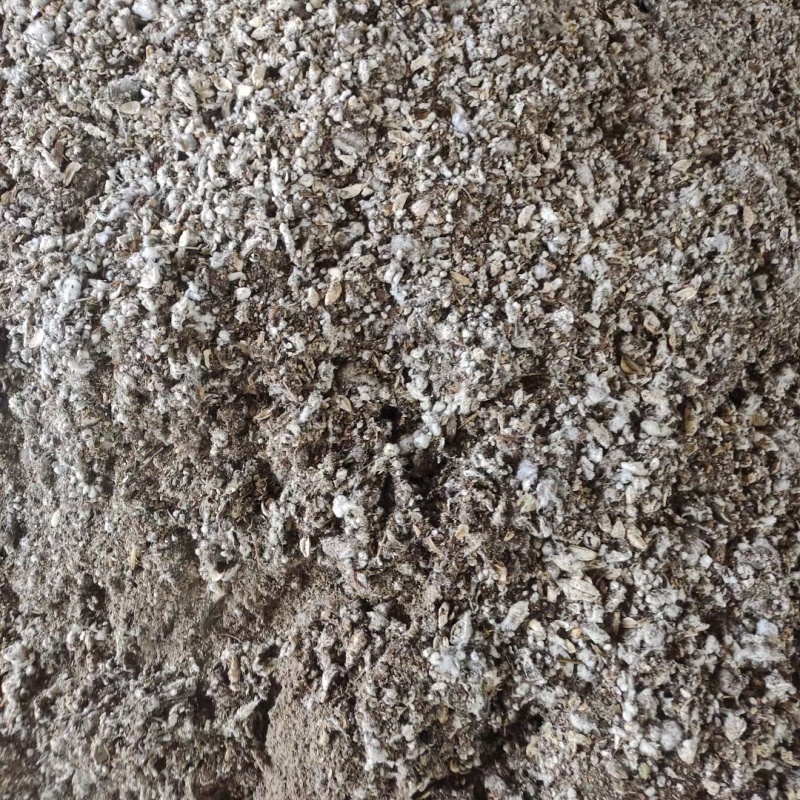 种植平菇好原料棉渣价格低收益高保量一手全国发货