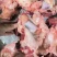 国产纯干大公牛牛窝骨有肉有筋有油实物色泽鲜艳现货实拍