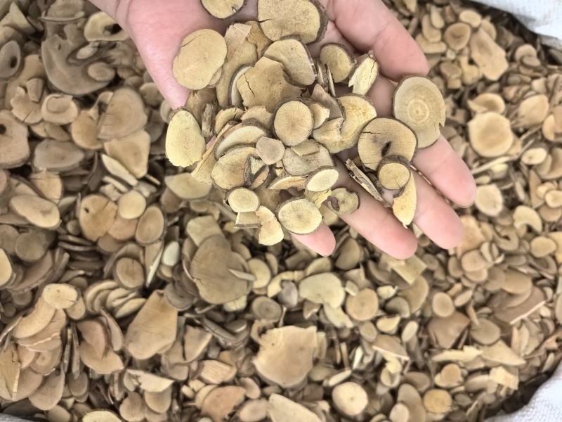 乌药台乌药产地浙江多种规格供应山东七彩百草中药材