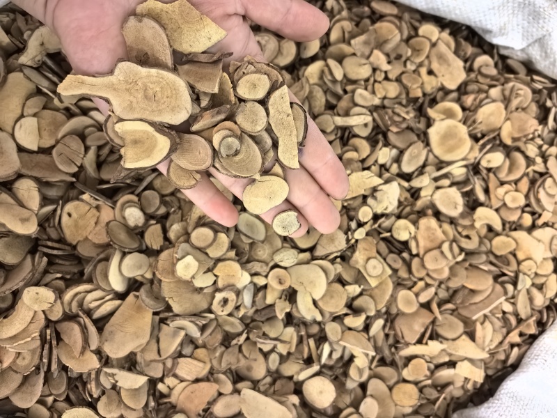 乌药台乌药产地浙江多种规格供应山东七彩百草中药材