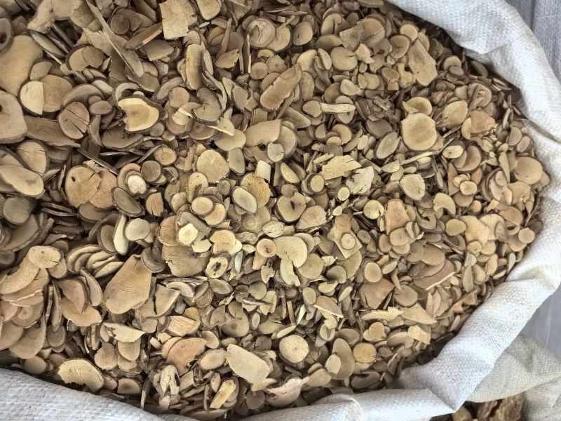 乌药台乌药产地浙江多种规格供应山东七彩百草中药材