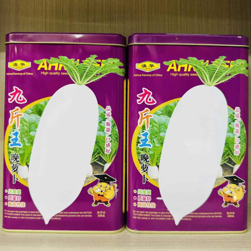 九斤王萝卜种子晚熟品种，种子