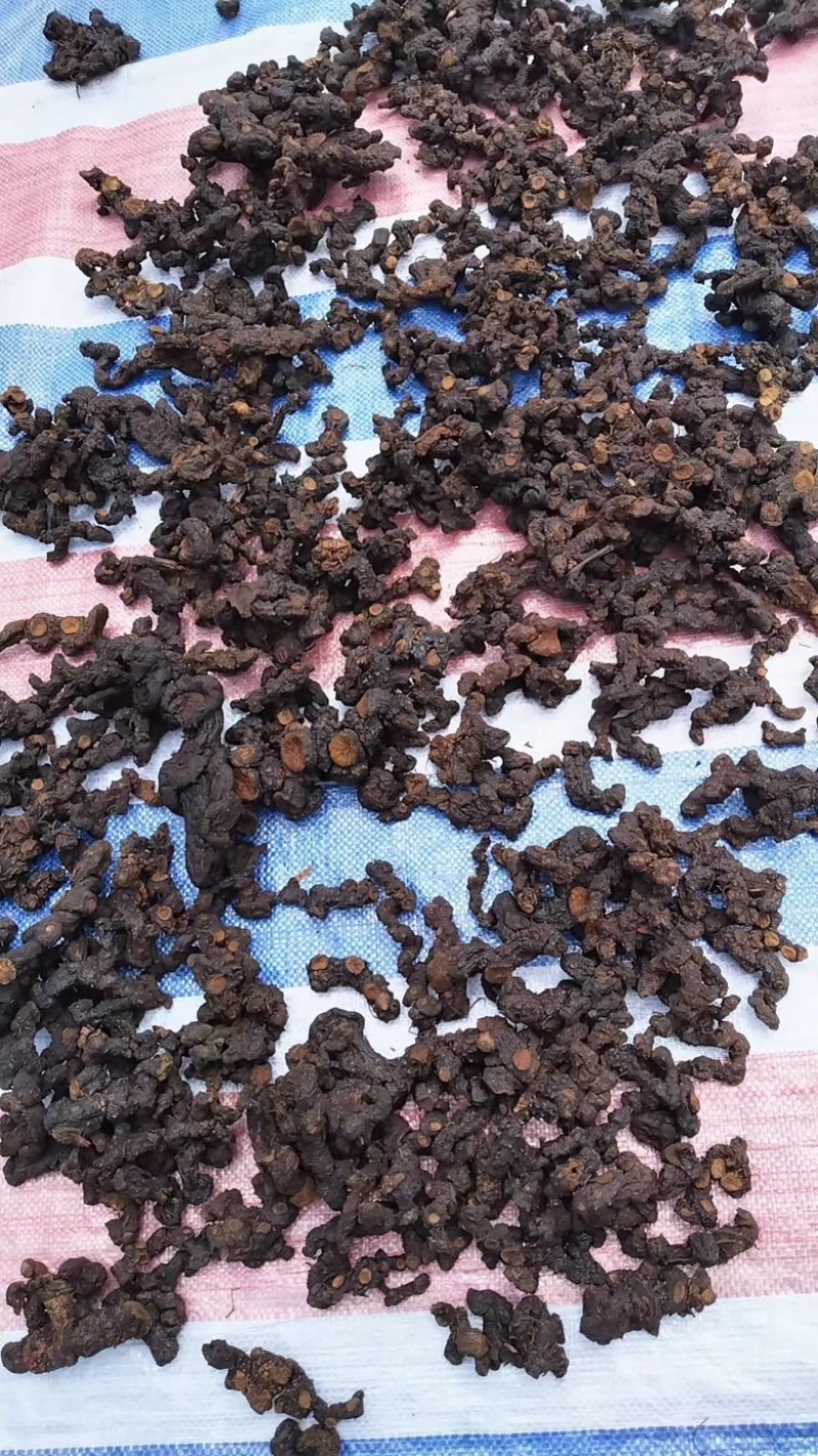 干黄精，九蒸九晒黄精
