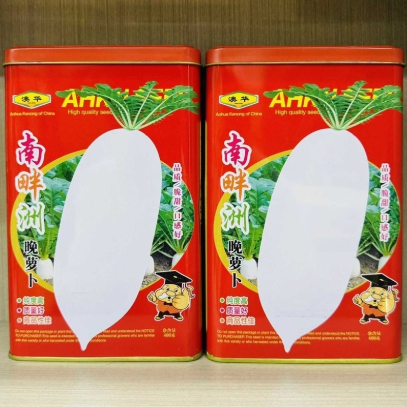 九斤王萝卜种子晚熟品种，种子