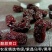 正宗新鲜特级大乌枣免洗野生长紫晶枣狗头枣泡酒干吃即食