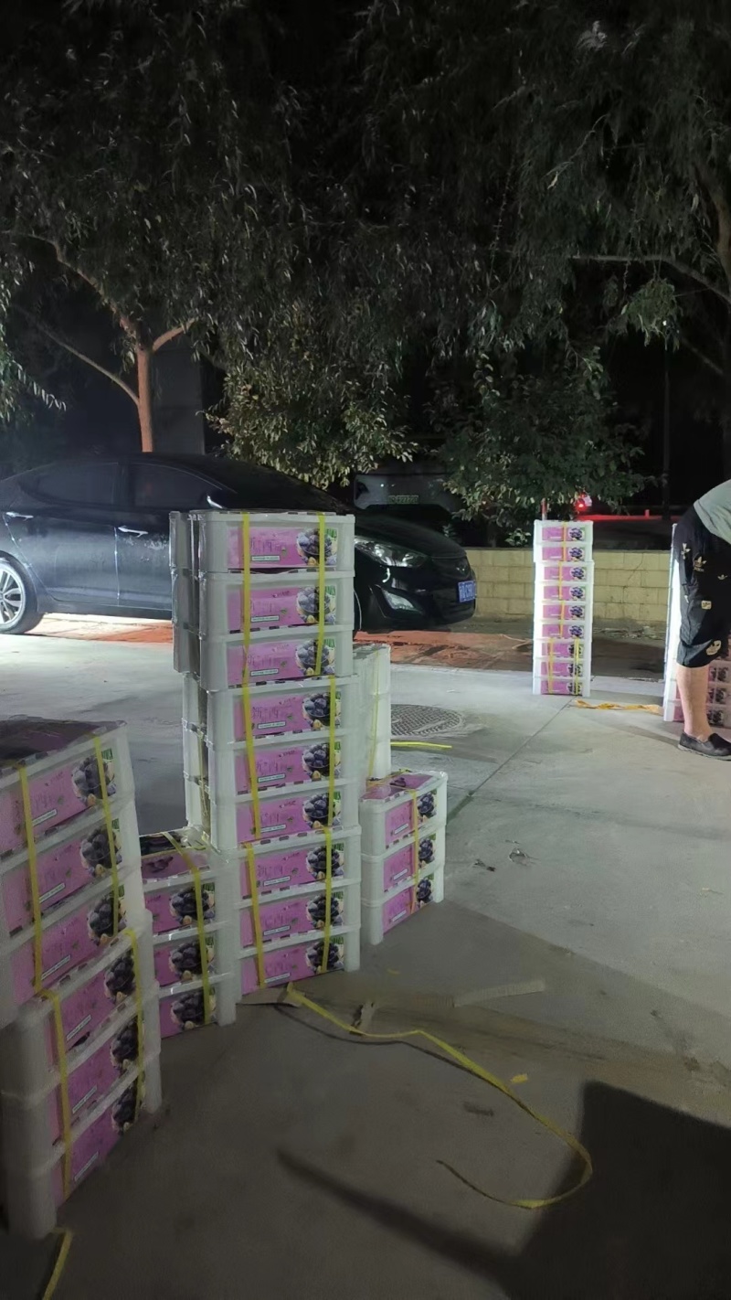 新疆阿克苏法兰西，西梅大量现货口感好糖度高达20个以上！