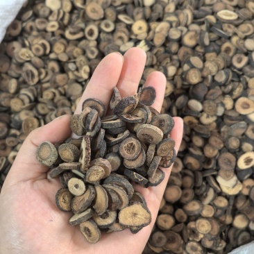 枳实枳实片多种规格大货供应七彩百草中药材批发