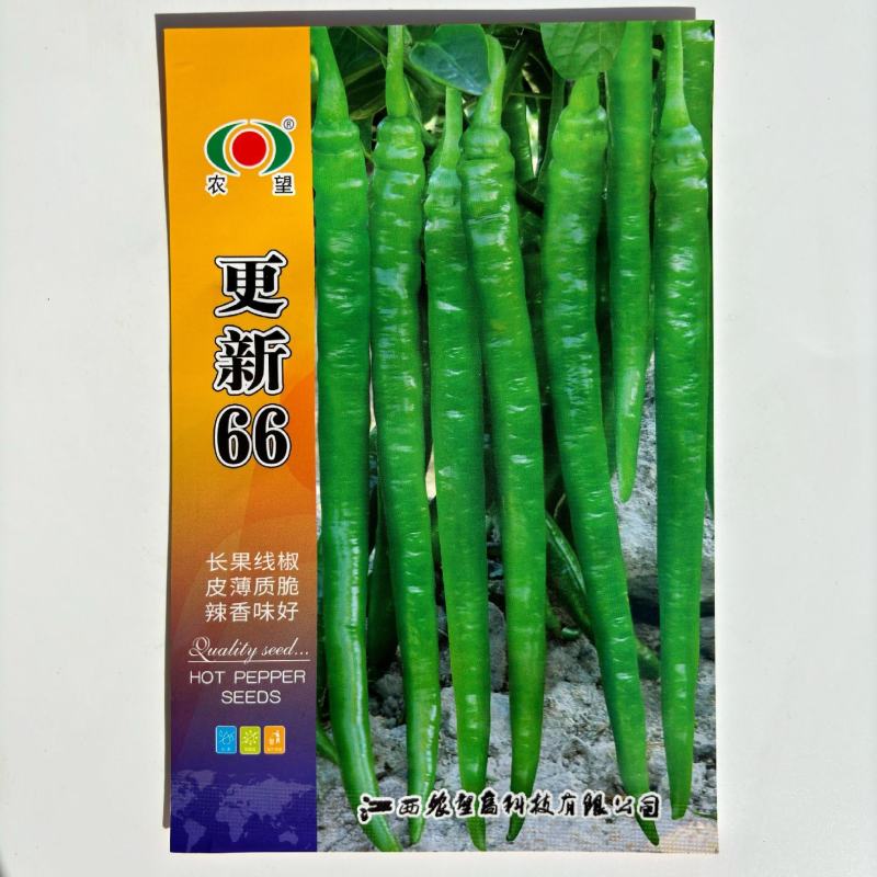 农望更新66辣椒种子早中熟长果线椒皮薄味中辣高产抗病强大