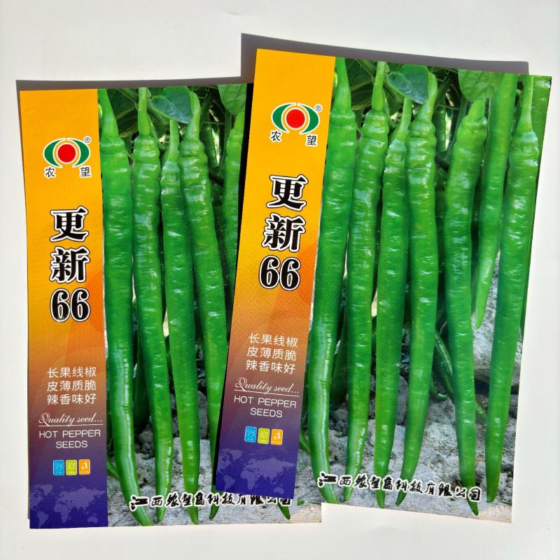 农望更新66辣椒种子早中熟长果线椒皮薄味中辣高产抗病强大