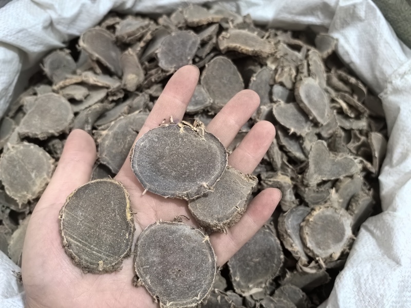 莪术文术大片莪术多种规格七彩百草中药材批发供应
