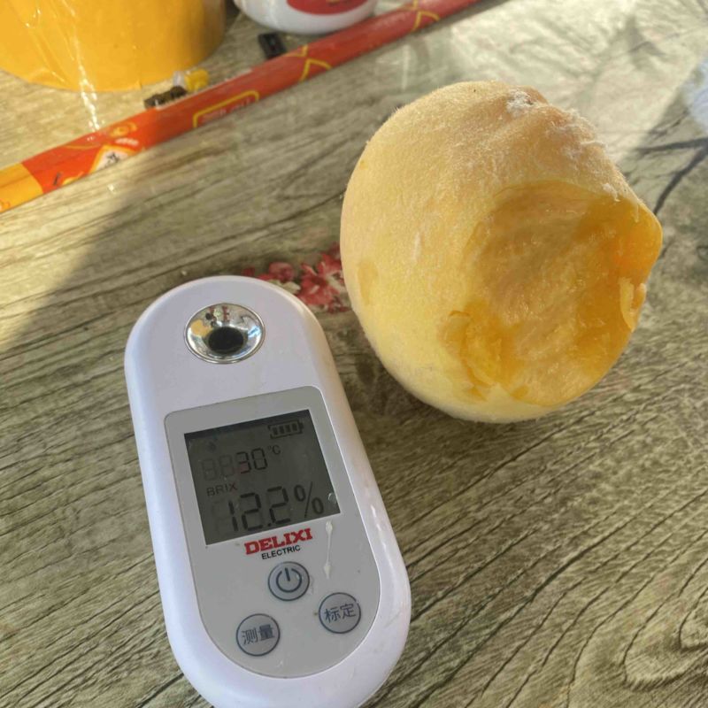 蒙阴黄桃