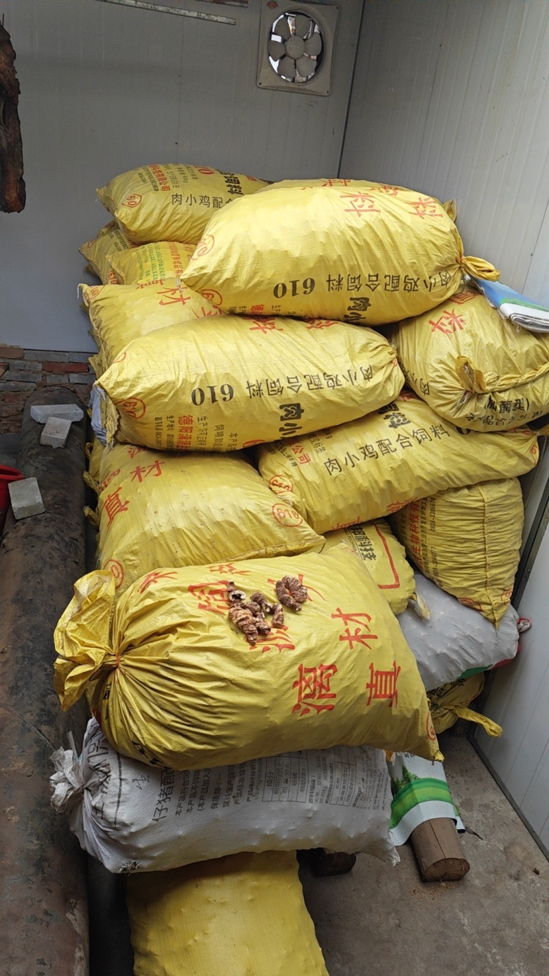 重楼/陕西重楼/七叶一枝花/野生加工/干货欢迎老板来电
