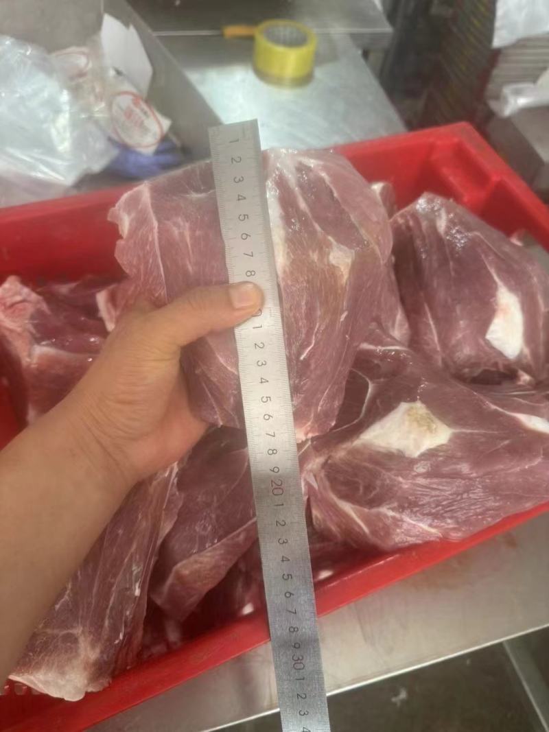西施骨扇骨