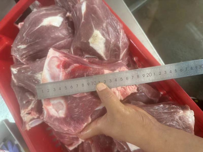 西施骨扇骨