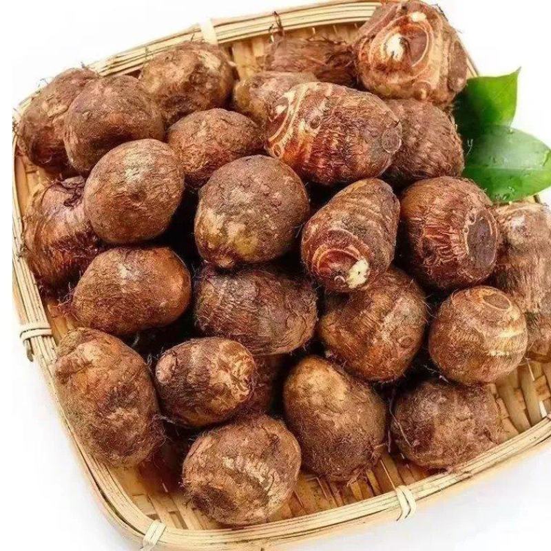 芋头，毛芋头，黏黏糯糯的今年新出土的芋头