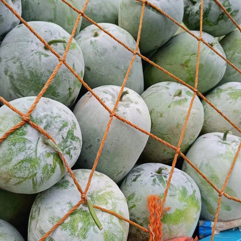 水果冬瓜！产地直发！保质保量！电联视频！欢迎砸单！