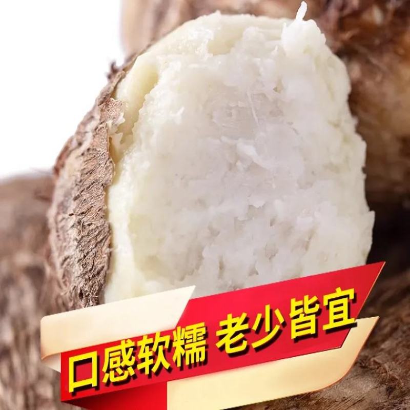 芋头，毛芋头，黏黏糯糯的今年新出土的芋头
