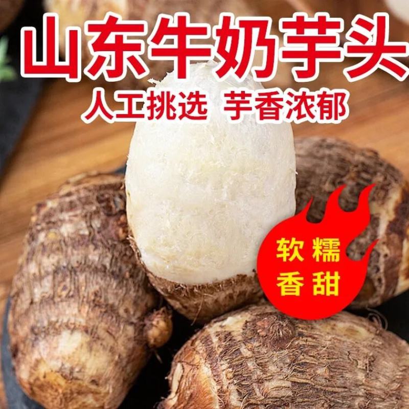 芋头，毛芋头，黏黏糯糯的今年新出土的芋头