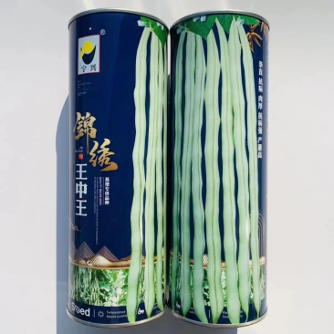 架豆王锦绣王中王早熟品种种子