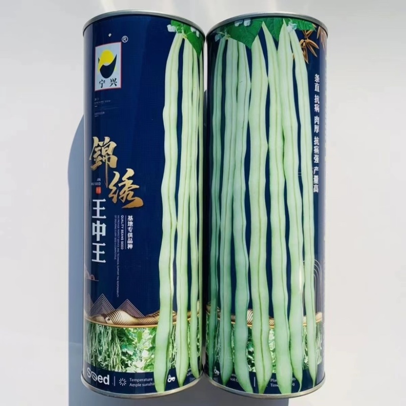 架豆王锦绣王中王早熟品种种子