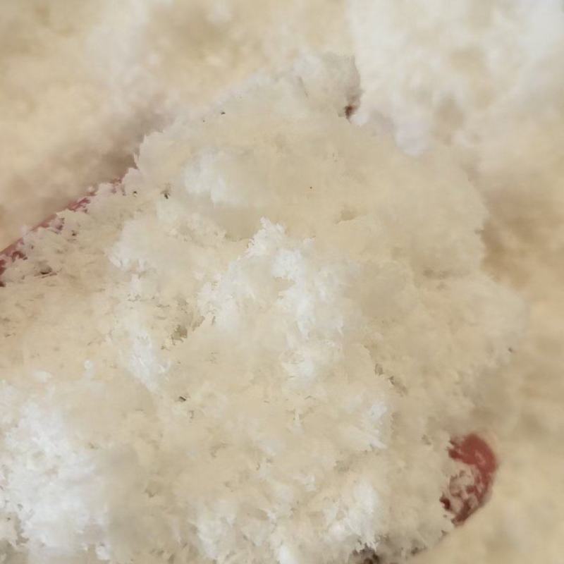 椰子渣
