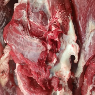 新鲜牛肉，牛排，牛百叶，牛杂
