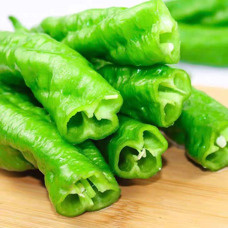 香辣螺丝椒秧苗皱皮海椒四季菜种春季盆栽蔬菜辣椒苗子秧高产