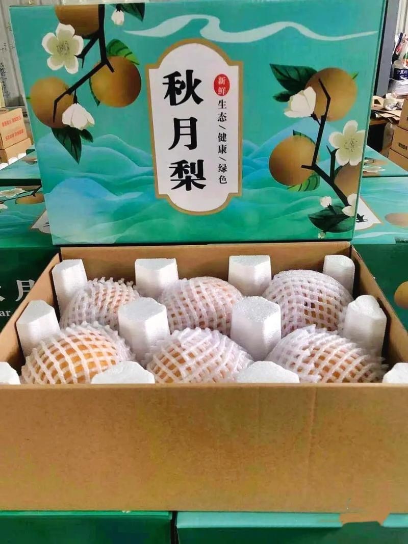 秋月梨大量上市，实力老板来