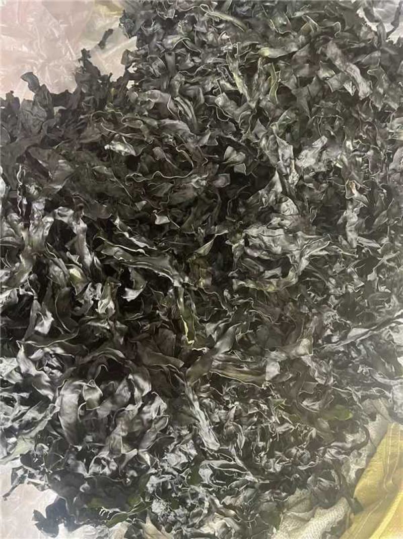 荣成海带，烘干海带条水洗无盐无沙，15倍泡发率10成干