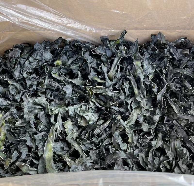 荣成海带，烘干海带条水洗无盐无沙，15倍泡发率10成干