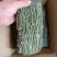 烘干海带丝，少盐无沙，含盐量3%，4倍泡发率，